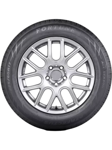 фото протектора и шины FSR602 Шина Fortune FSR602 225/60 R17 99V