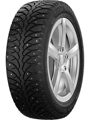 Шина Tunga Nordway 2 195/65 R15 Q91